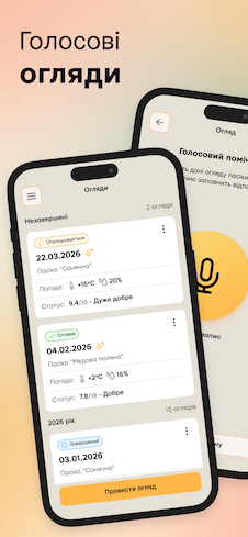 Pasika — знімок екрана